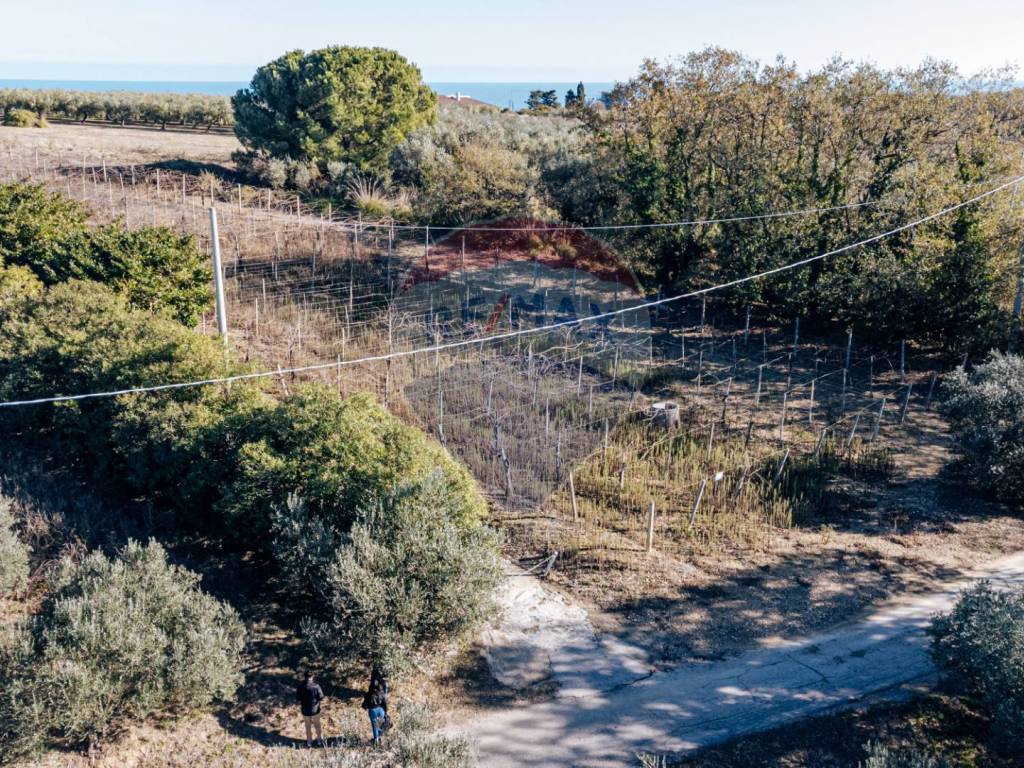 Terreno a Torino di sangro in C.da Lentesco - Foto 4
