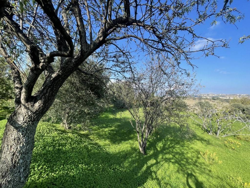 Terreno a Reggio calabria in Contrada Santa Barbara - Foto 3