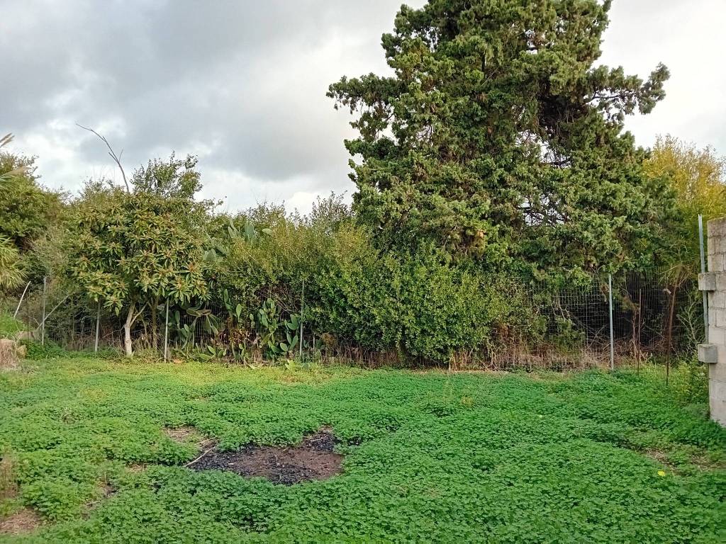Terreno a Riola sardo in Via Regina Elena, 49 - Foto 2