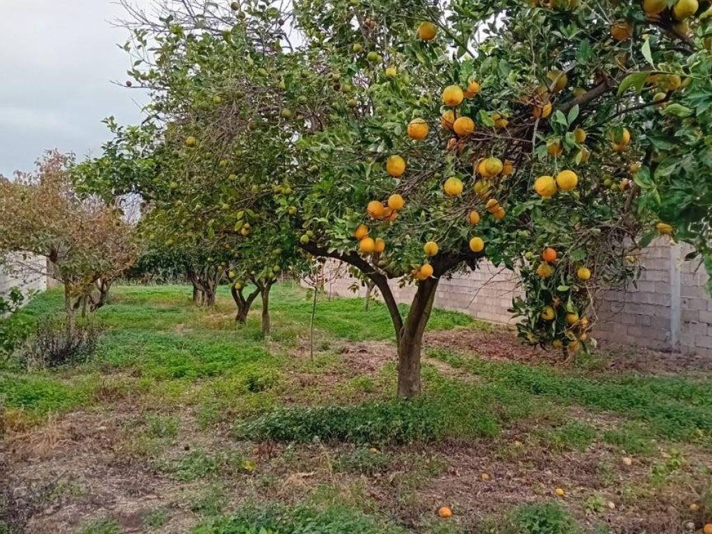 Terreno a Riola sardo in Via Regina Elena, 49 - Foto 4