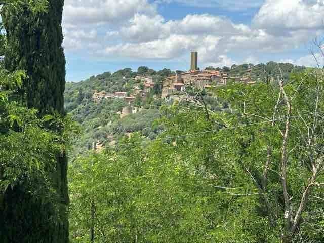Rustico / casale a Magliano in toscana - Foto 3