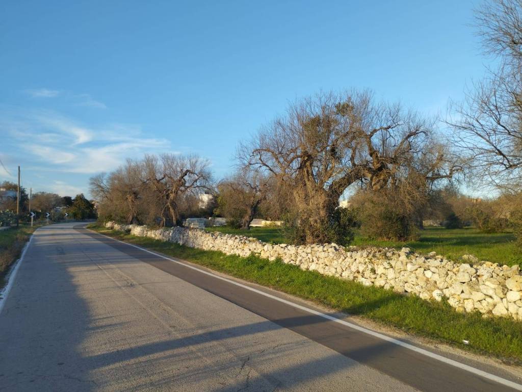 Terreno a Morciano di leuca in Strada Comunale Pozzo Fasulo - Foto 5
