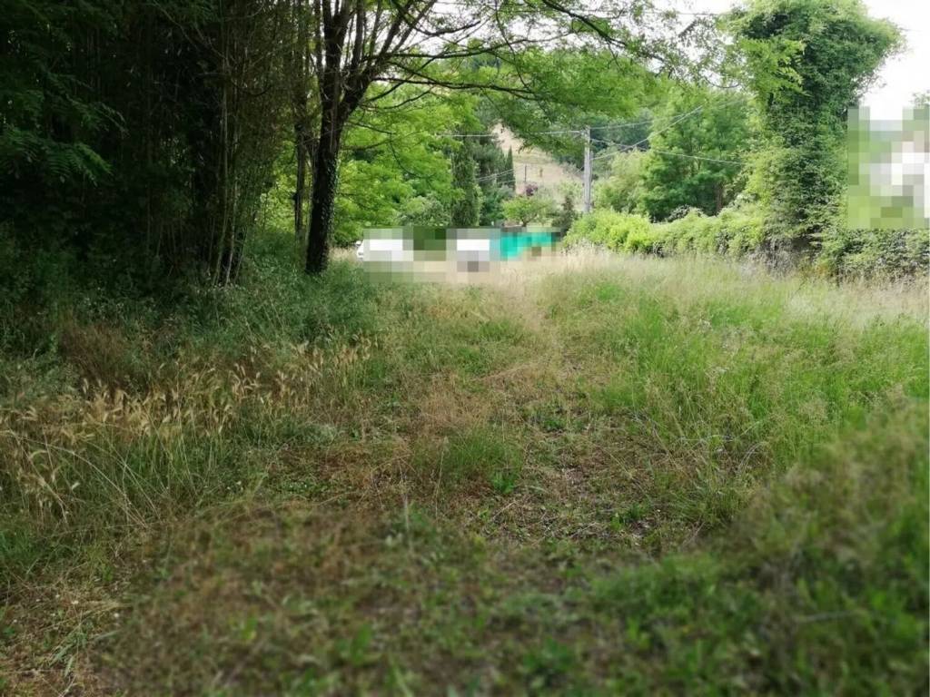 Terreno a Montevarchi - Foto 2