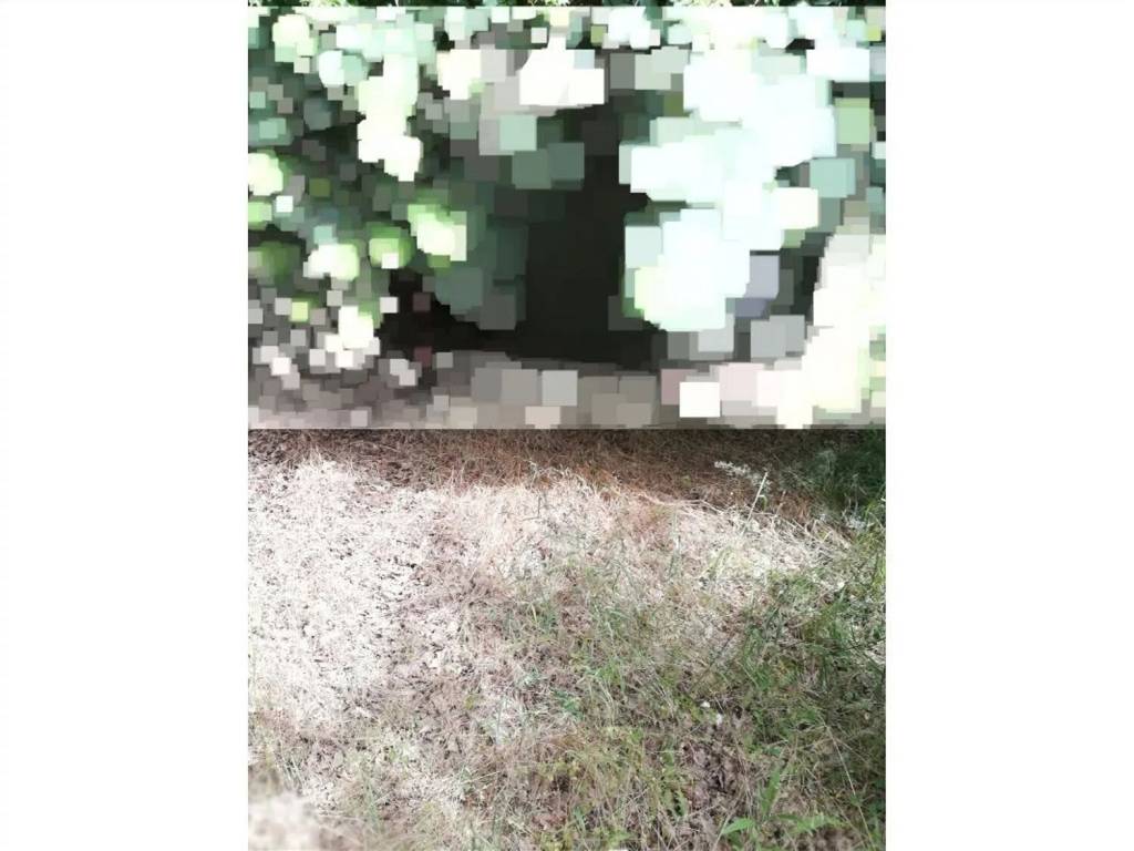Terreno a Montevarchi - Foto 3