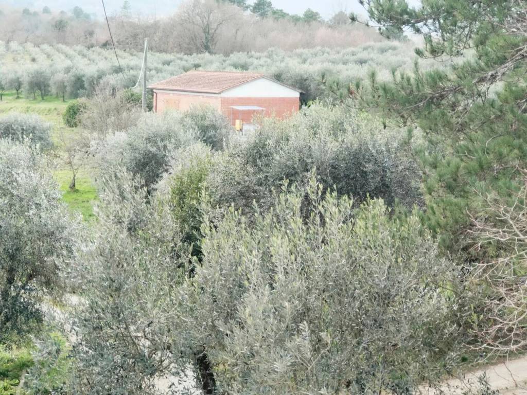 Terreno a Montevarchi in Via Di Moncioni - Foto 2