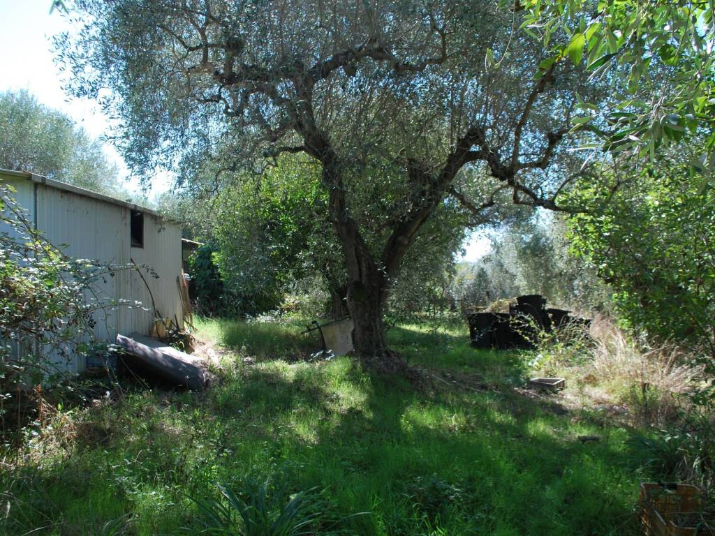 Villa a Fara in sabina in Strada Stallone - Foto 2