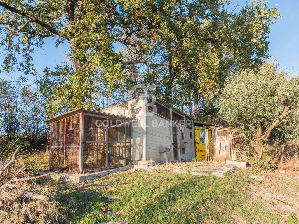 Appartamento a Mondavio in contrada montericco, 7 - Foto 4