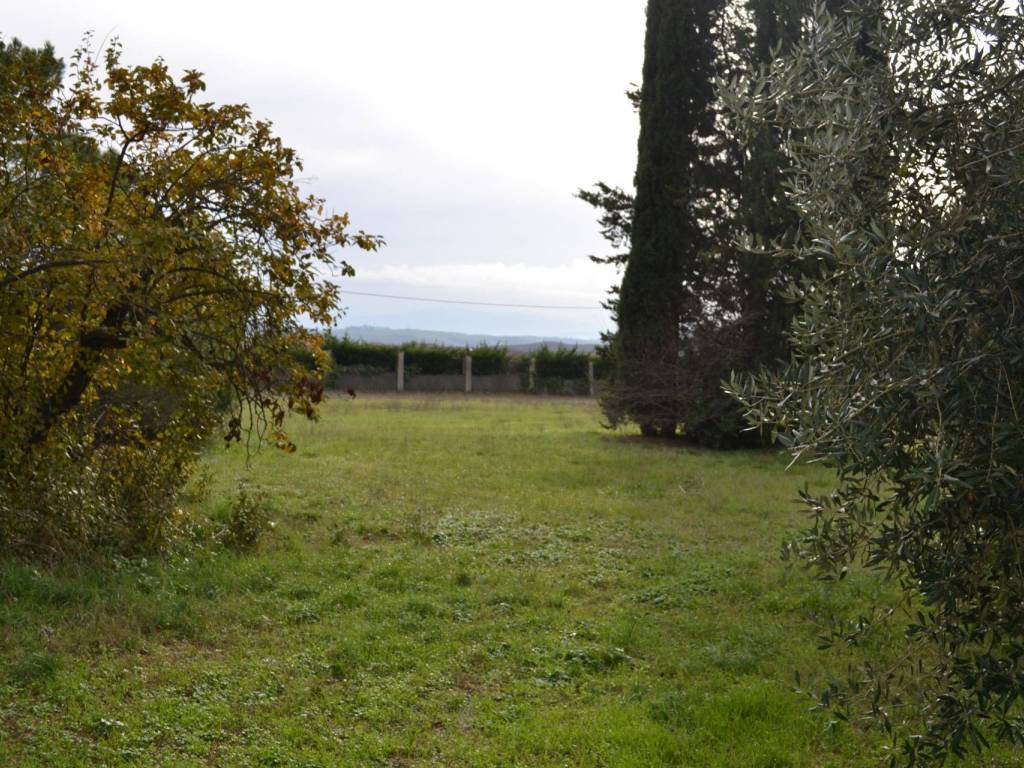 Villa a Castelnuovo berardenga in Strada provinciale 111 sud, 44 - Foto 5
