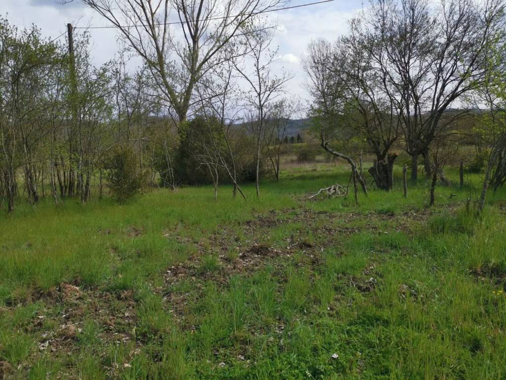 Rustico / casale a Bucine - Foto 3
