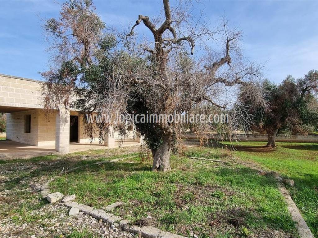 Villa a Carovigno in SP32 - Foto 3