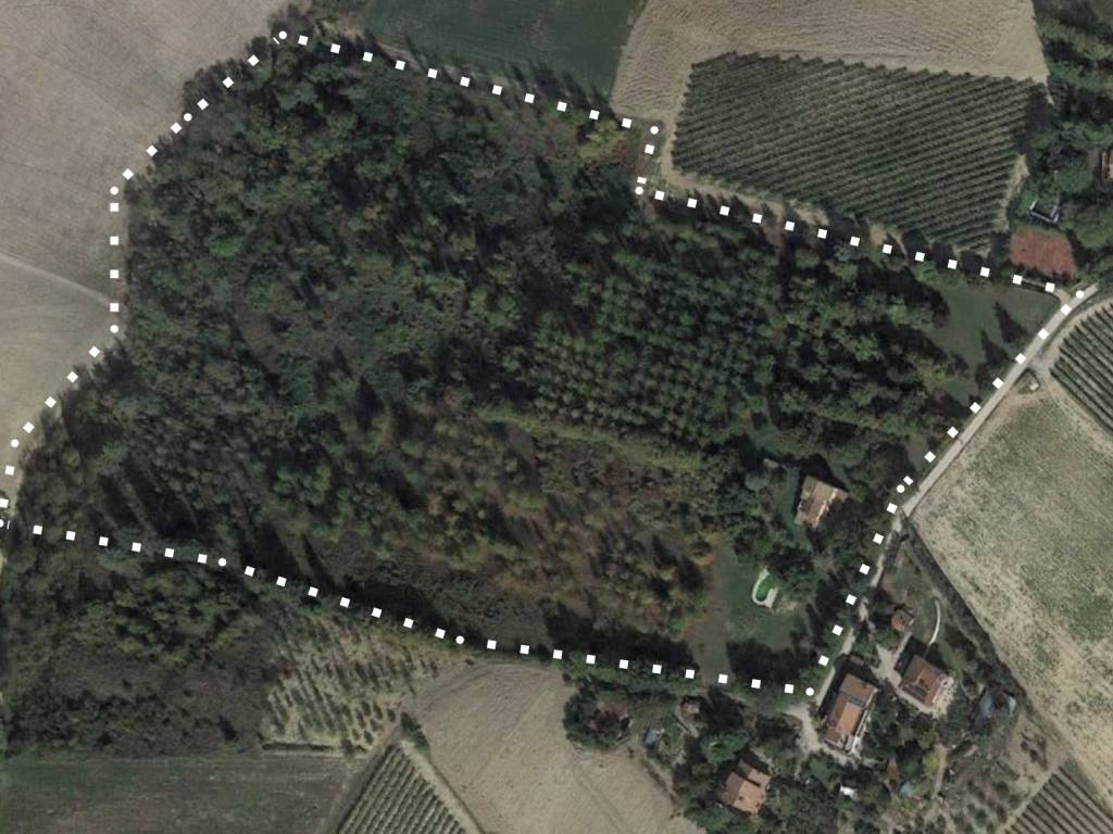 Villa a Cossignano in Contrada Tesino, 11 - Foto 3
