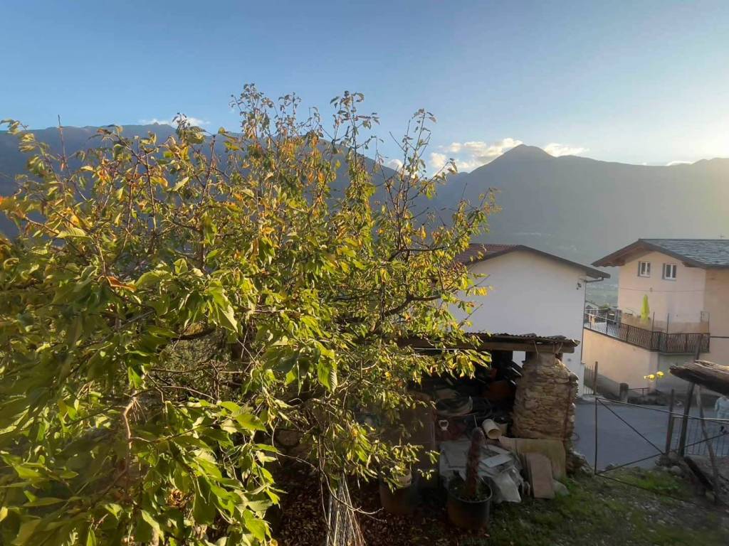 Rustico / casale a Poggiridenti in NOBILI - Foto 5