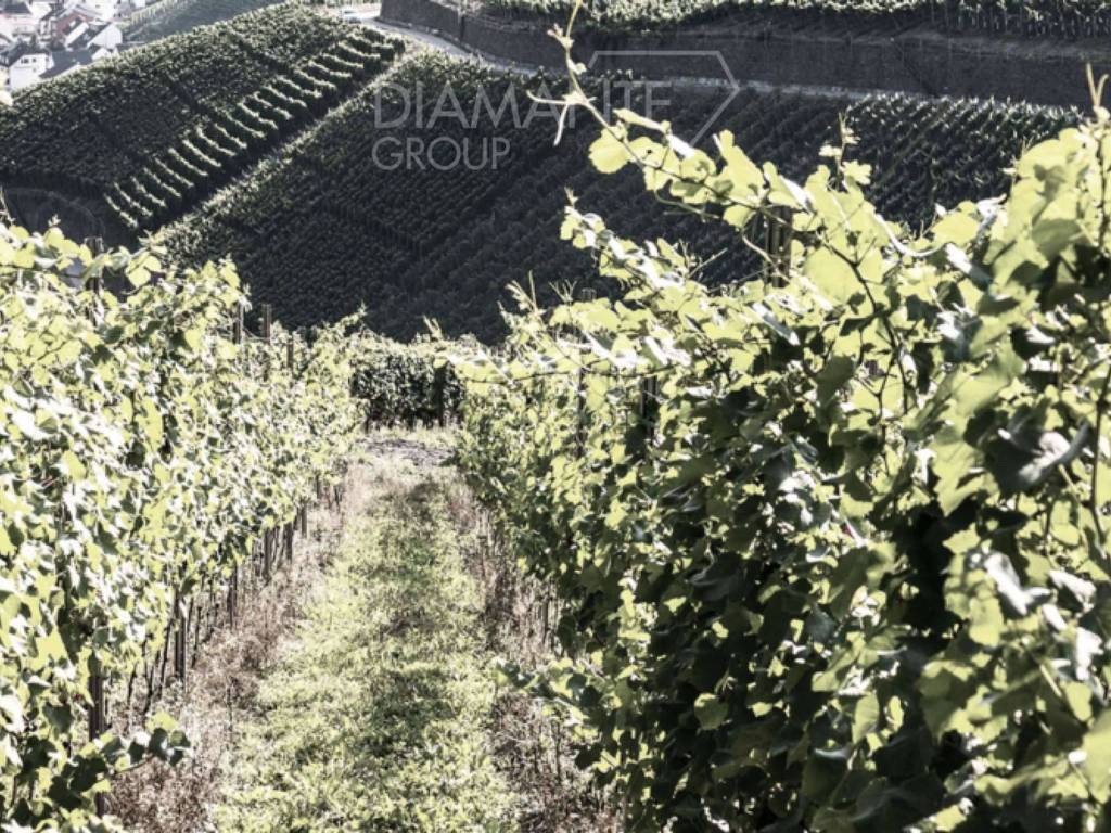 Casa indipendente a Manciano in Manciano - Foto 4