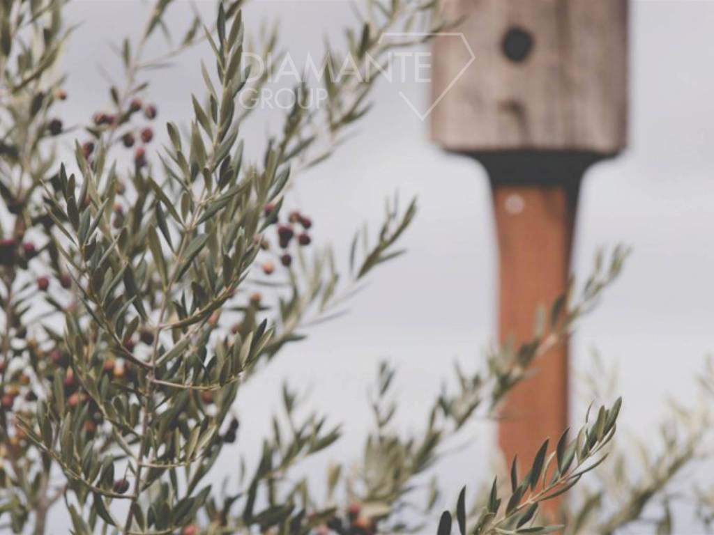 Casa indipendente a Manciano in Manciano - Foto 5