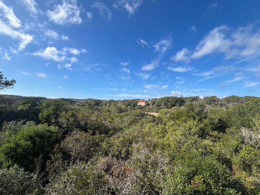 Villa a Carloforte - Foto 3