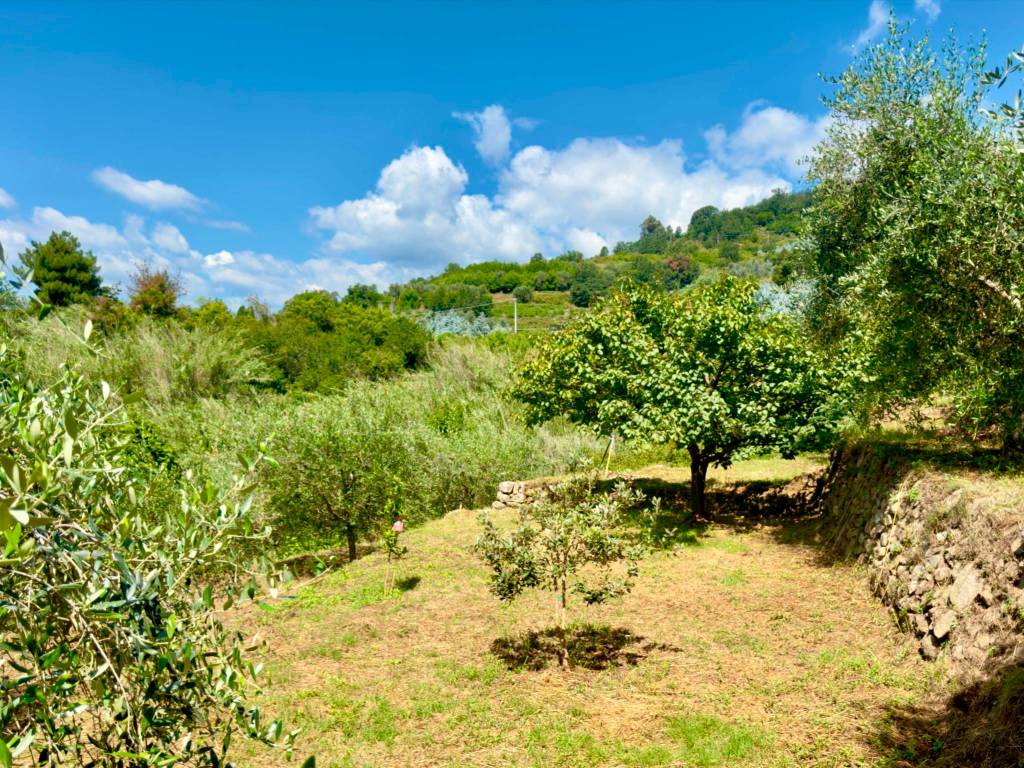 Villa a Perinaldo in Strada Begliun - Foto 4