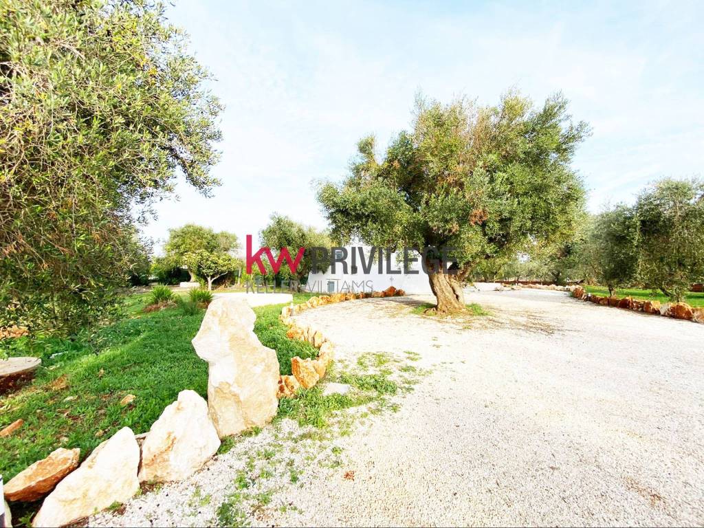 Rustico / casale a Ostuni in Contrada Martucci - Foto 3