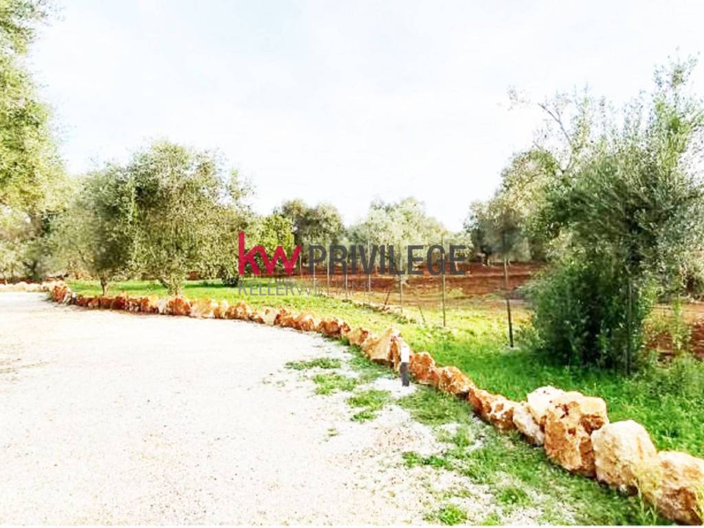 Rustico / casale a Ostuni in Contrada Martucci - Foto 4