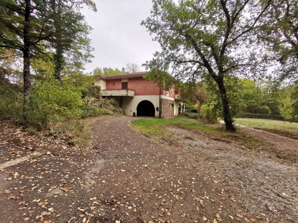 Rustico / casale a Montevarchi - Foto 4