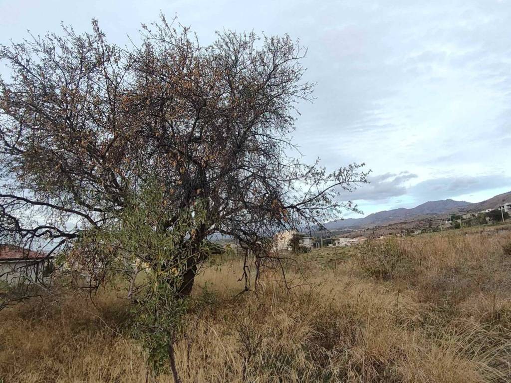 Terreno a Reggio calabria in Via Quattronari - Foto 4