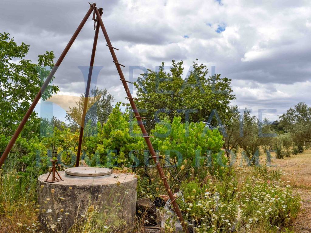 Terreno a Noto in Via Tommaso Fazello, 228 - Foto 3