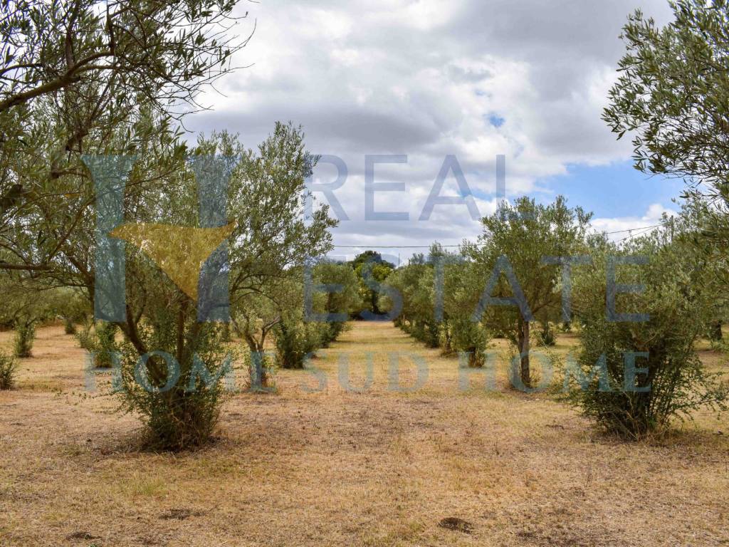 Terreno a Noto in Via Tommaso Fazello, 228 - Foto 4