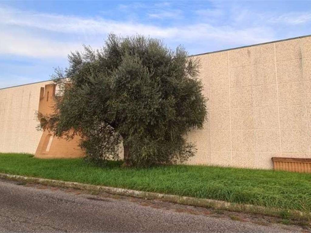 Immobile a Todi in FRAZ. PANTALLA - Foto 2