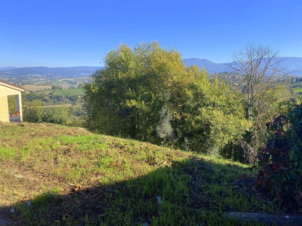 Terreno a Magliano sabina in Vocabolo Madonna degli Angeli - Foto 3