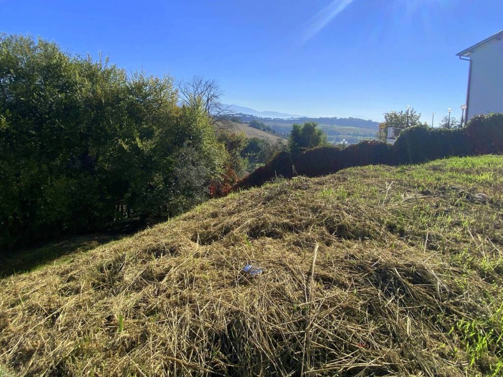 Terreno a Magliano sabina in Vocabolo Madonna degli Angeli - Foto 4