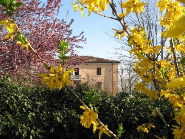 Rustico / casale a Pianello val tidone - Foto 2