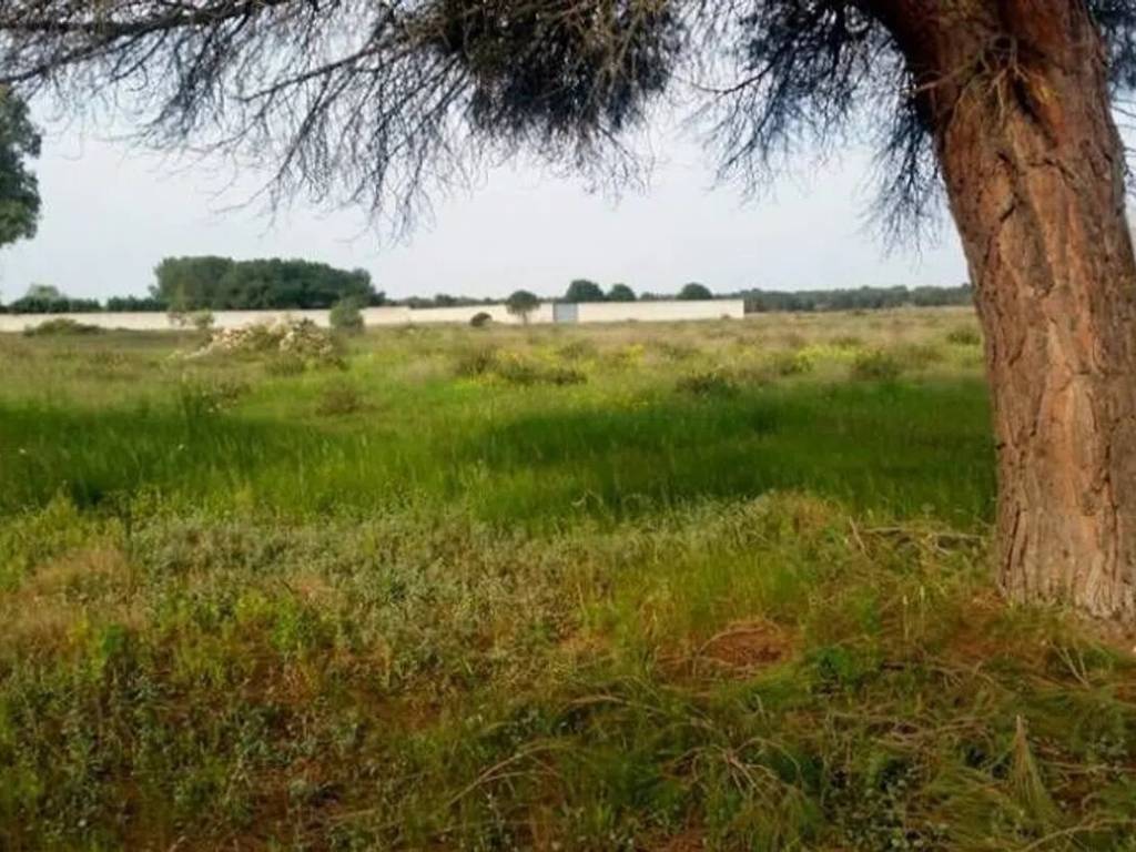 Terreno a Lecce in Via Maria D' Enghien - Foto 2