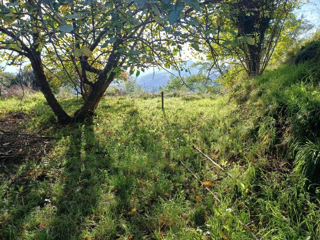 Villa a Vezzano ligure in Via Bastia S.N.C. - Foto 5