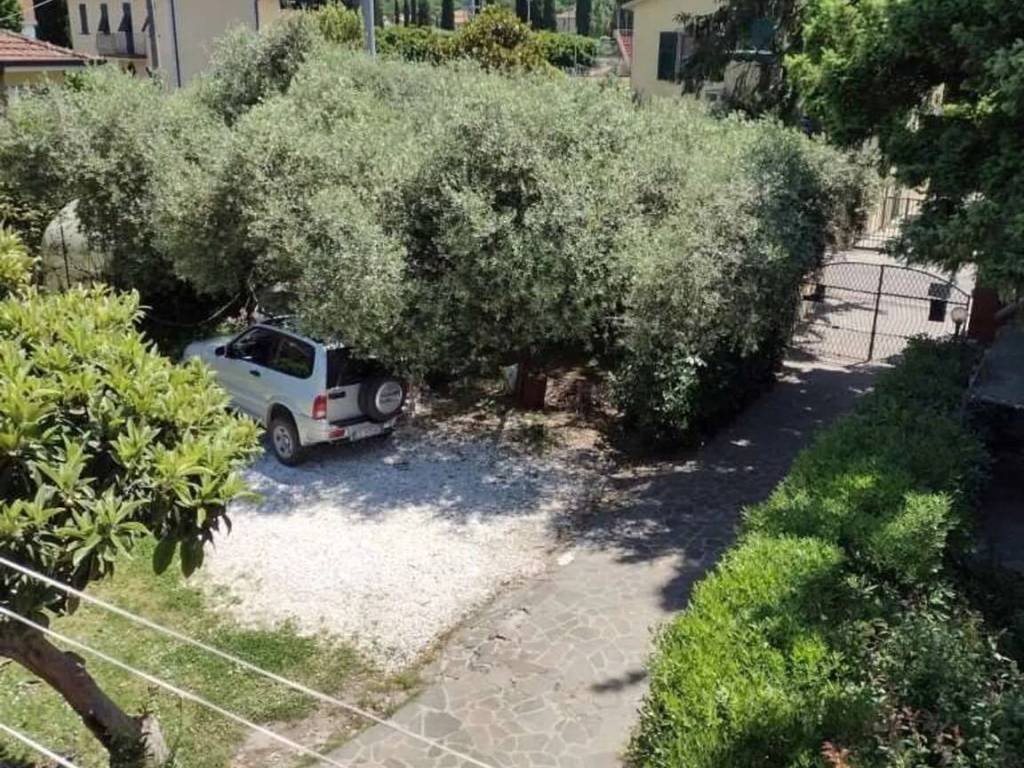 Villa a Sarzana in Via Bradia, 100 - Foto 3