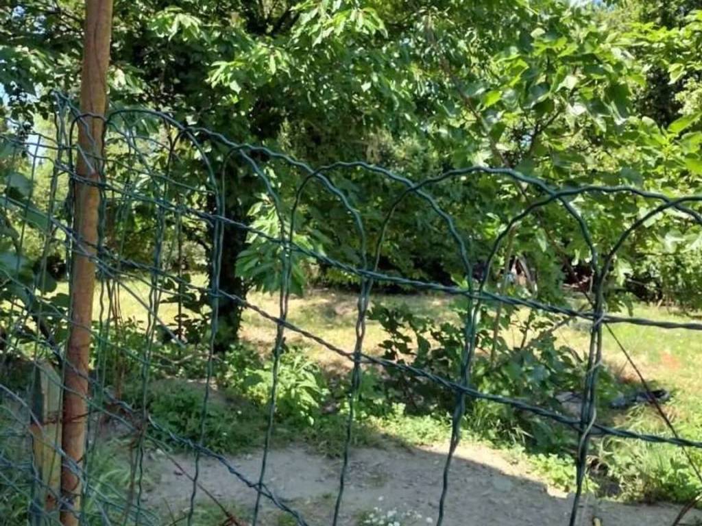 Villa a Sarzana in Via Bradia, 100 - Foto 5