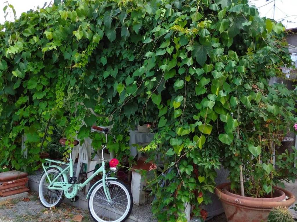 Villa a Sarzana in Via Aurelia, 163 - Foto 5