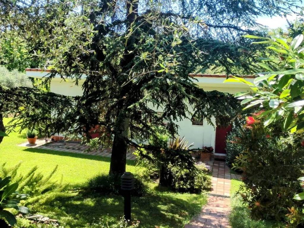 Villa a Sarzana in Via Ghigliolo Basso, 49 - Foto 3