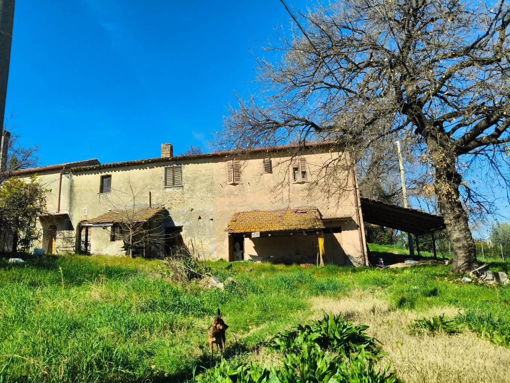 Rustico / casale a Montopoli di sabina in Via Fontevecchia - Foto 5
