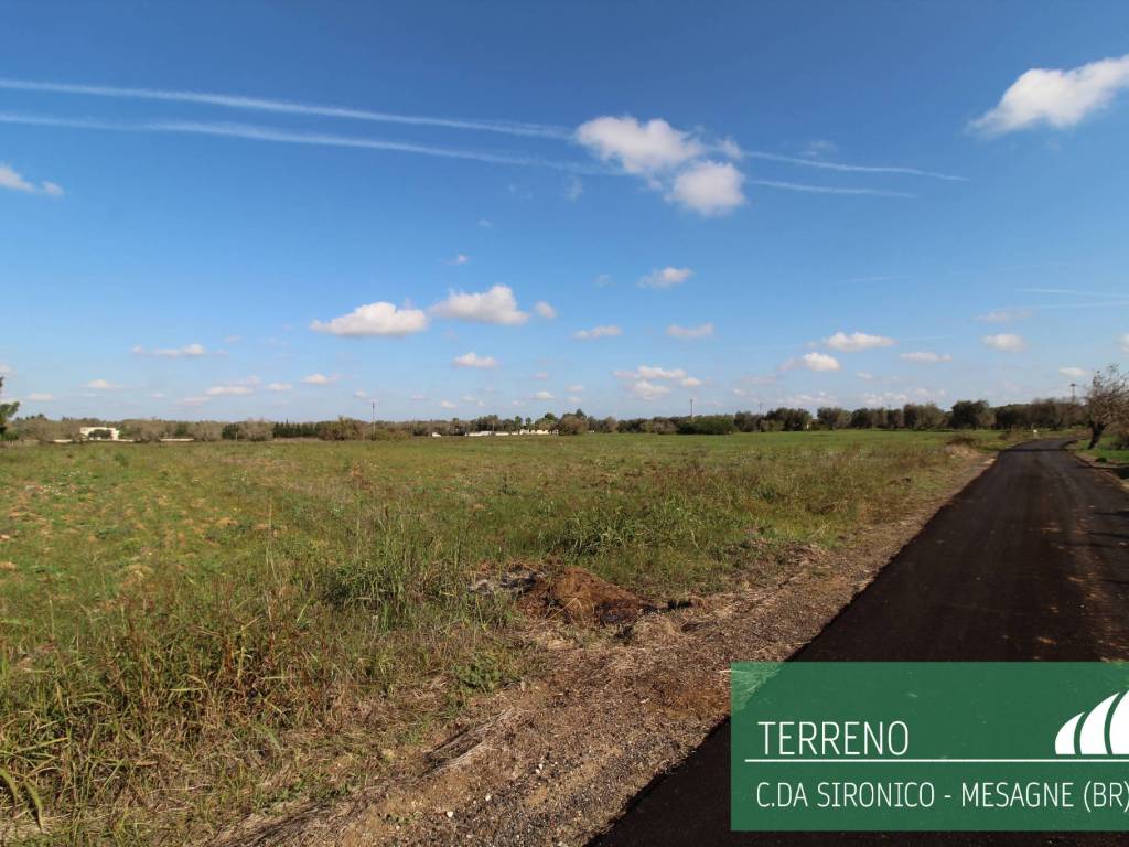 Terreno a Mesagne - Foto 3