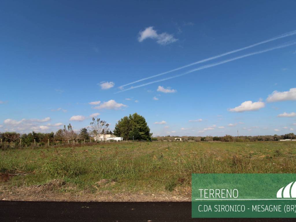 Terreno a Mesagne - Foto 4