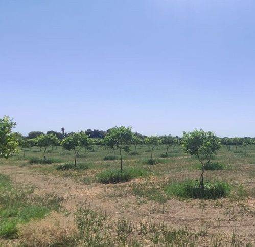 Terreno a Siracusa in Via Per Floridia 53 - Foto 2