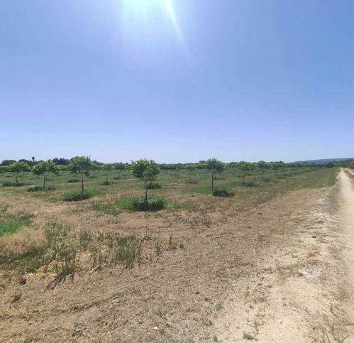 Terreno a Siracusa in Via Per Floridia 53 - Foto 4