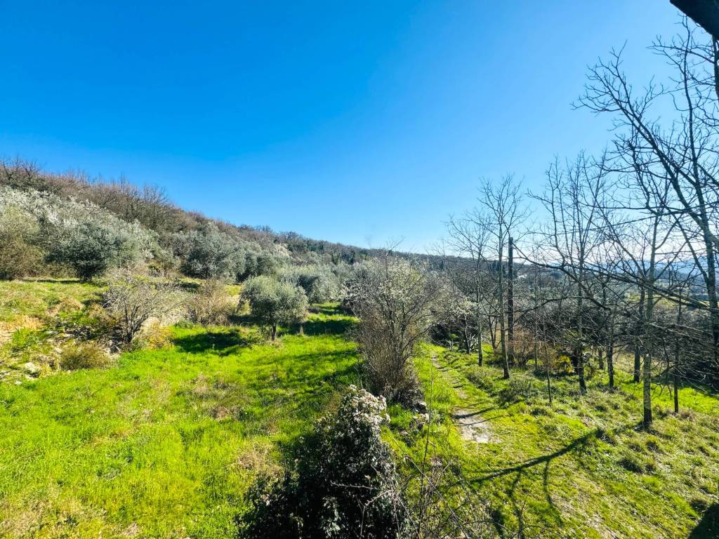 Rustico / casale a Pistoia - Foto 5
