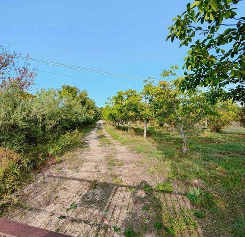 Terreno a Noto in Sp24 34 - Foto 4