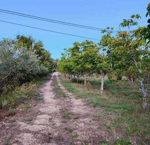Terreno a Noto in Sp24 34 - Foto 5