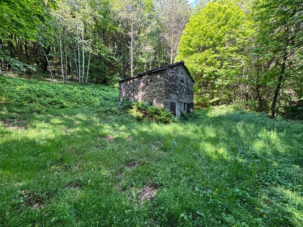 Rustico / casale a Paesana in Borgata Barra - Foto 2