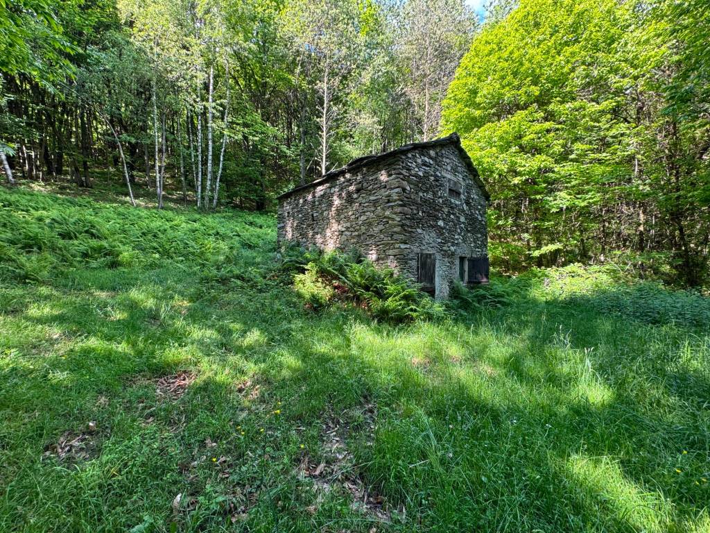 Rustico / casale a Paesana in Borgata Barra - Foto 4