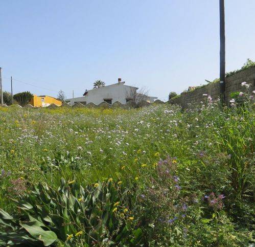 Terreno a Siracusa in Ss115 119 - Foto 3
