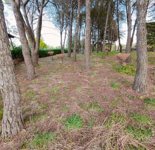 Villa a Noto in Strada Provinciale 24 - Foto 3