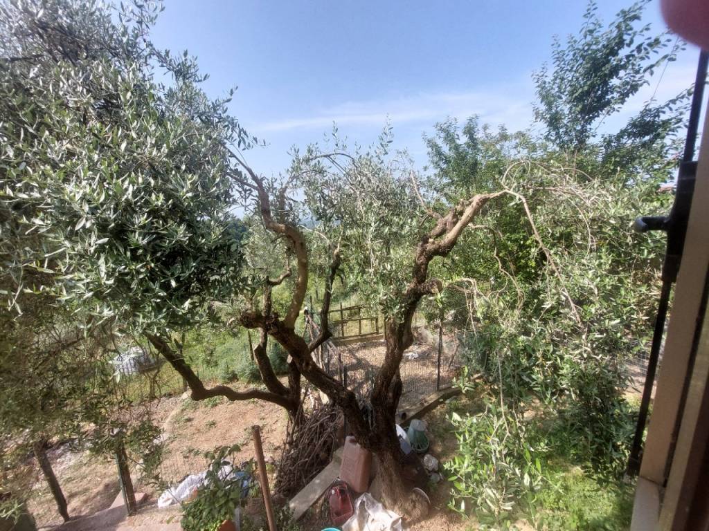 Villa a Castelfranco piandisco in Strada Provinciale Setteponti - Foto 2