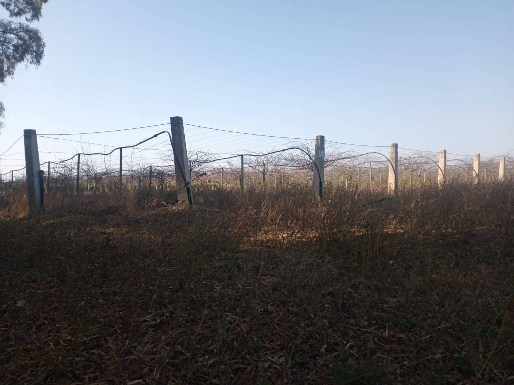Terreno a Cisterna di latina in Strada Colle del Tufo - Foto 2